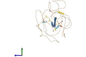 Protein Structure (PS) image for Polo-Like Kinase 1 Substrate 1 (PLK1S1) (AA 1-695) protein (His tag) (ABIN7557307)