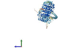 Protein Structure (PS) image for F-Box and Leucine-Rich Repeat Protein 13 (FBXL13) (AA 1-790) protein (His tag) (ABIN7559269)