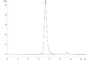 The purity of Biotinylated Human Fc gamma RIIIA is greater than 95 % as determined by SEC-HPLC.