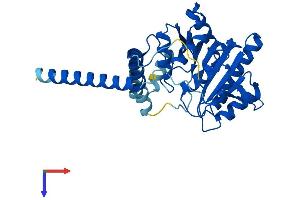 ALG5 Protein (AA 1-324) (His tag)