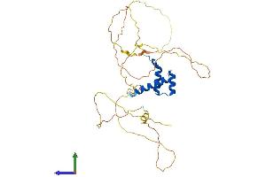 AlphaFold protein structure predicition of Mouse Recombinant Dlx2 Protein, UniprotID P40764