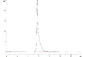 Size-exclusion chromatography-High Pressure Liquid Chromatography (SEC-HPLC) image for Adiponectin (ADIPOQ) (AA 19-244) protein (Fc Tag) (ABIN7273798)
