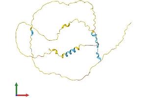 Protein Structure (PS) image for Nuclear Casein Kinase and Cyclin-Dependent Kinase Substrate 1 (NUCKS1) (AA 1-234) protein (His tag) (ABIN7558427)