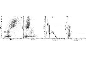 Image no. 1 for anti-CD38 antibody (PerCP-Cy5.5) (ABIN1106335)