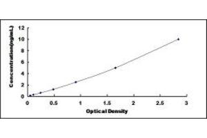 Typical standard curve (RAD23B ELISA Kit)