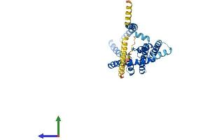 KCNK1 Protein (AA 1-336) (His tag)