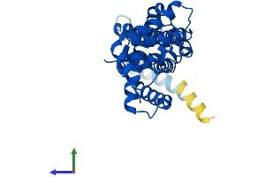 Protein Structure (PS) image for ELMO/CED-12 Domain Containing 2 (ELMOD2) (AA 1-293) protein (His tag) (ABIN7547378)
