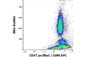 Flow cytometry surface staining pattern of human peripheral blood stained using anti-human CD47 (MEM-122) purified antibody (concentration in sample 4 μg/mL, GAM APC). (CD47 Antikörper)