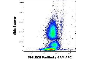 Flow cytometry surface staining pattern of human peripheral whole blood stained using anti-human SIGLEC8 (7C9) purified antibody (concentration in sample 6 μg/mL, GAM APC). (SIGLEC8 Antikörper  (Extracellular Domain))