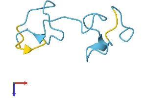 MT1 Protein (AA 1-61) (Fc Tag)