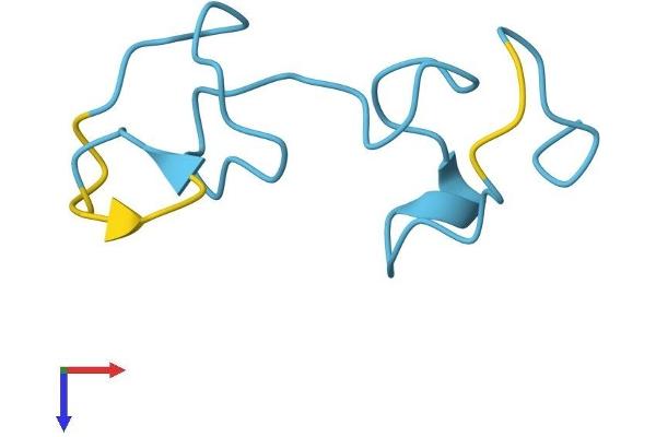 MT1 Protein (AA 1-61) (Fc Tag)