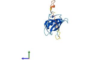Protein Structure (PS) image for SH2 Domain Containing 1B (SH2D1B) (AA 1-132) protein (His tag) (ABIN7562302)
