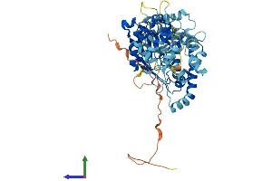 Protein Structure (PS) image for Lysophosphatidylcholine Acyltransferase 4 (LPCAT4) (AA 1-524) protein (His tag) (ABIN7564058)