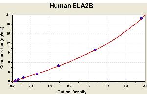 Diagramm of the ELISA kit to detect Human ELA2Bwith the optical density on the x-axis and the concentration on the y-axis.