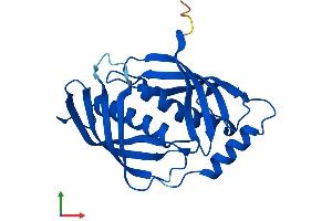 Protein Structure (PS) image for Latexin (LXN) (AA 1-222) protein (His tag) (ABIN7556674)