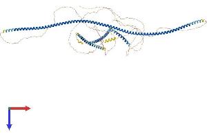 Cancer Antigen 1 (CAGE1) (AA 1-849) protein (His tag)