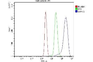 Flow Cytometry analysis of U937 cells using anti-SRP72 antibody (ABIN7601648). (SRP72 Antikörper  (AA 40-460))