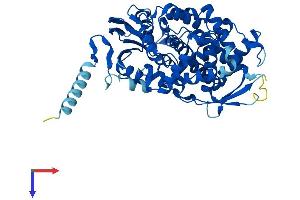 CYP7A1 Protein (AA 1-504) (His tag)