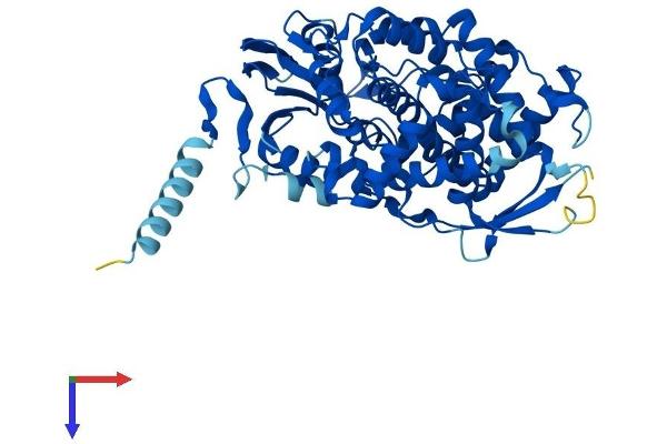 CYP7A1 Protein (AA 1-504) (His tag)