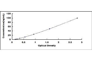 Typical standard curve (Lipocalin 2 ELISA Kit)