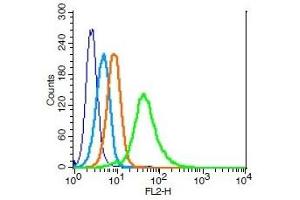 Human U937 cells probed with CDC123 Polyclonal Antibody, Unconjugated  (green) at 1:100 for 30 minutes followed by a PE conjugated secondary antibody compared to unstained cells (blue), secondary only (light blue), and isotype control (orange). (CDC123 Antikörper  (AA 101-200))