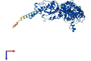 ILVBL Protein (AA 1-632) (His tag)