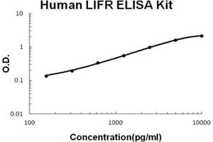 Human LIFR PicoKine ELISA Kit standard curve (LIFR ELISA Kit)