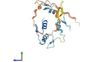 AlphaFold protein structure predicition of Human Recombinant ZNF581 Protein, UniprotID Q9P0T4