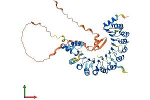 Protein Structure (PS) image for F-Box and Leucine-Rich Repeat Protein 6 (FBXL6) (AA 1-539) protein (His tag) (ABIN7547604)