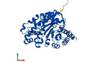 Protein Structure (PS) image for Uroporphyrinogen Decarboxylase (UROD) (AA 1-367) protein (His tag) (ABIN7546994)