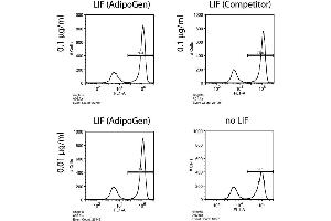 Figure: Human Leukemia Inhibitory Factor (LIF) (rec.