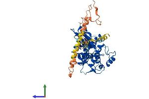 AlphaFold protein structure predicition of Mouse Recombinant Stk40 Protein, UniprotID Q7TNL3 (STK40 Protein (AA 1-435) (His tag))