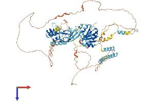 BANK1 Protein (AA 1-785) (His tag)