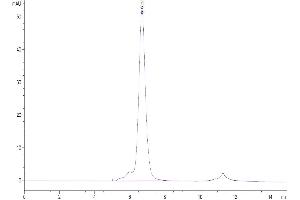 The purity of Human PVRIG is greater than 95 % as determined by SEC-HPLC.