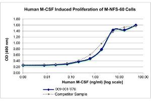 SDS-PAGE of Human Macrophage Colony Stimulating Factor Recombinant Protein Bioactivity of Human Macrophage Colony Stimulating Factor Recombinant Protein. (M-CSF/CSF1 Protein)