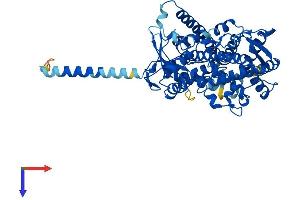 CYP1B1 Protein (AA 1-543) (His tag)