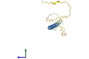 AlphaFold protein structure predicition of Human Recombinant NCOR1P1 Protein, UniprotID Q9H4R4