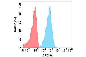 Flow Cytometry (FACS) image for anti-C-Type Lectin Domain Family 9, Member A (CLEC9A) antibody (ABIN7490790)