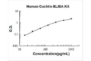 Typical Standard Curve