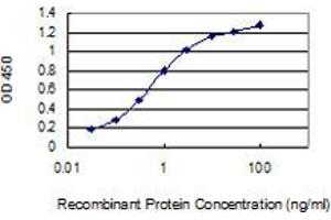 ELISA image for anti-Creatine Kinase, Muscle (CKM) (AA 282-381) antibody (ABIN560386)