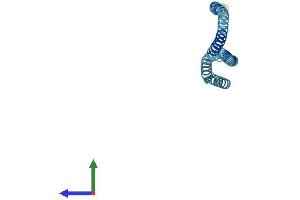 Protein Structure (PS) image for Golgi SNAP Receptor Complex Member 2 (GOSR2) (AA 1-212) protein (His tag) (ABIN7548052)