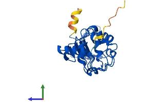 Protein Structure (PS) image for Leucine Rich Transmembrane and 0-Methyltransferase Domain Containing (LRTOMT) (AA 1-192) protein (His tag) (ABIN7549134)