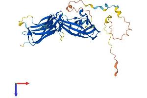 Arrestin Domain Containing 3 (ARRDC3) (AA 1-414) protein (His tag)