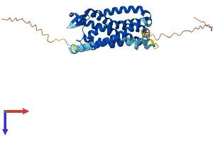 CCR5 Protein (AA 1-354) (His tag)
