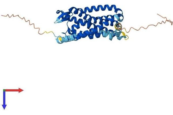 CCR5 Protein (AA 1-354) (His tag)
