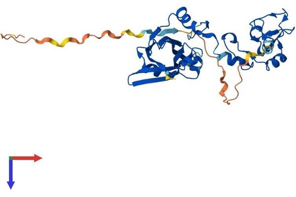 SIAH2 Protein (AA 1-324) (His tag)
