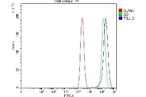 Flow Cytometry analysis of Caco-2 cells using anti-TTLL12 antibody (ABIN7602497). (TTLL12 Antikörper  (AA 8-634))