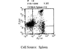 Representative Dot Plot (CD8 Antikörper  (Biotin))