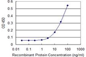 Detection limit for recombinant GST tagged TSC2 is 1 ng/ml as a capture antibody. (Tuberin Antikörper  (AA 540-658))