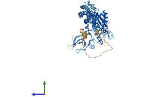 Protein Structure (PS) image for conserved Helix-Loop-Helix Ubiquitous Kinase (CHUK) (AA 1-745) protein (His tag) (ABIN7563871)